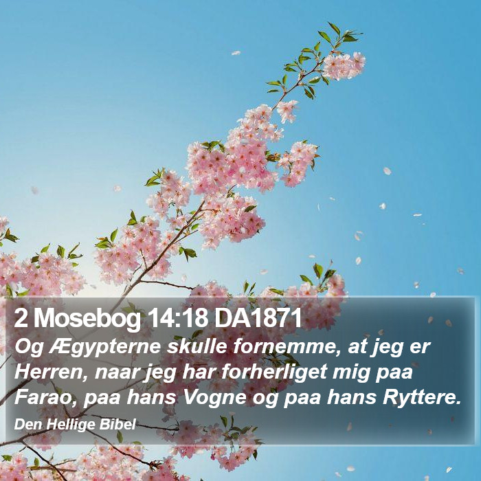 2 Mosebog 14:18 DA1871 Bible Study