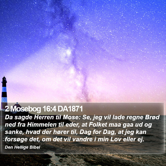 2 Mosebog 16:4 DA1871 Bible Study