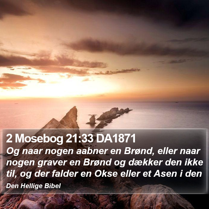 2 Mosebog 21:33 DA1871 Bible Study