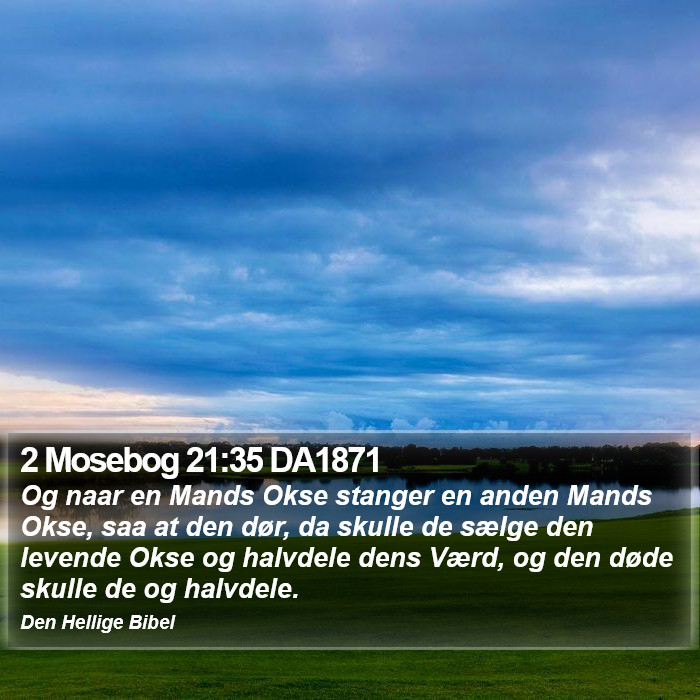 2 Mosebog 21:35 DA1871 Bible Study