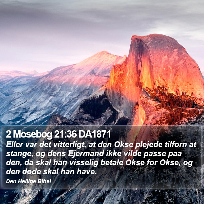 2 Mosebog 21:36 DA1871 Bible Study