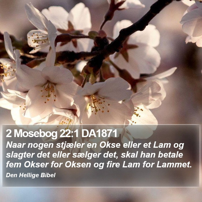 2 Mosebog 22:1 DA1871 Bible Study