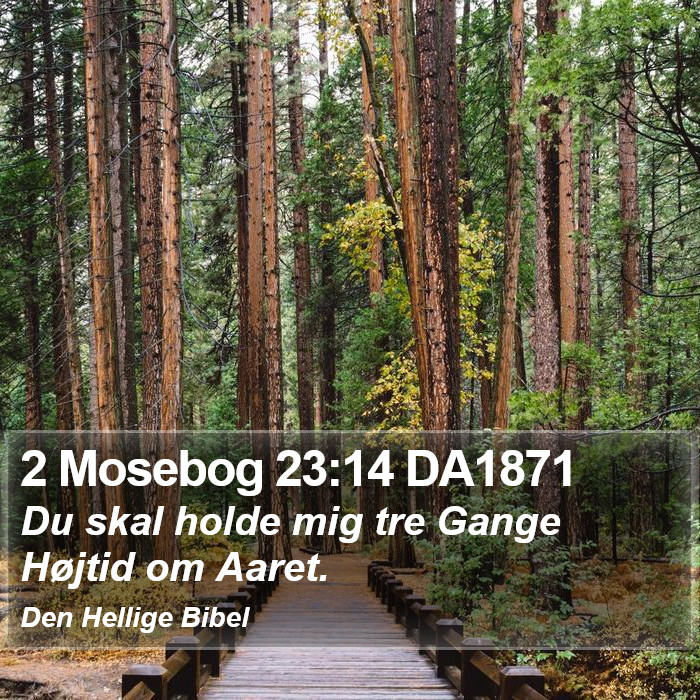 2 Mosebog 23:14 DA1871 Bible Study