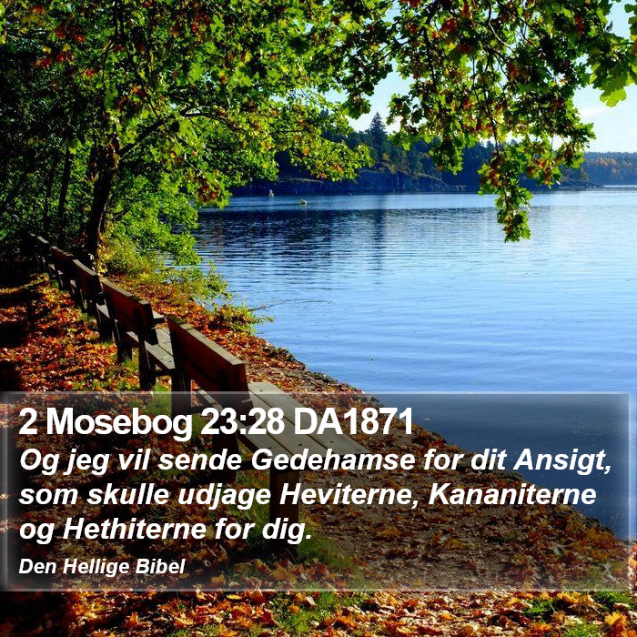 2 Mosebog 23:28 DA1871 Bible Study