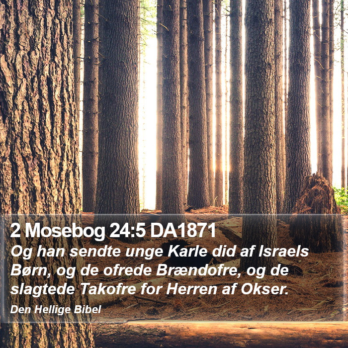 2 Mosebog 24:5 DA1871 Bible Study