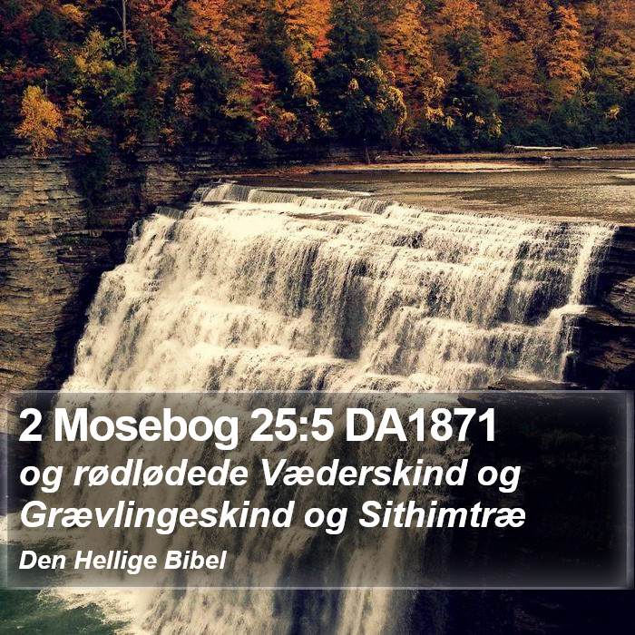 2 Mosebog 25:5 DA1871 Bible Study