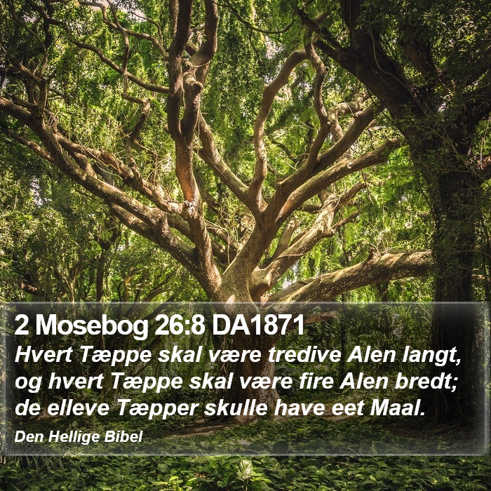 2 Mosebog 26:8 DA1871 Bible Study