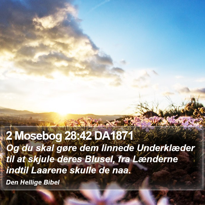 2 Mosebog 28:42 DA1871 Bible Study