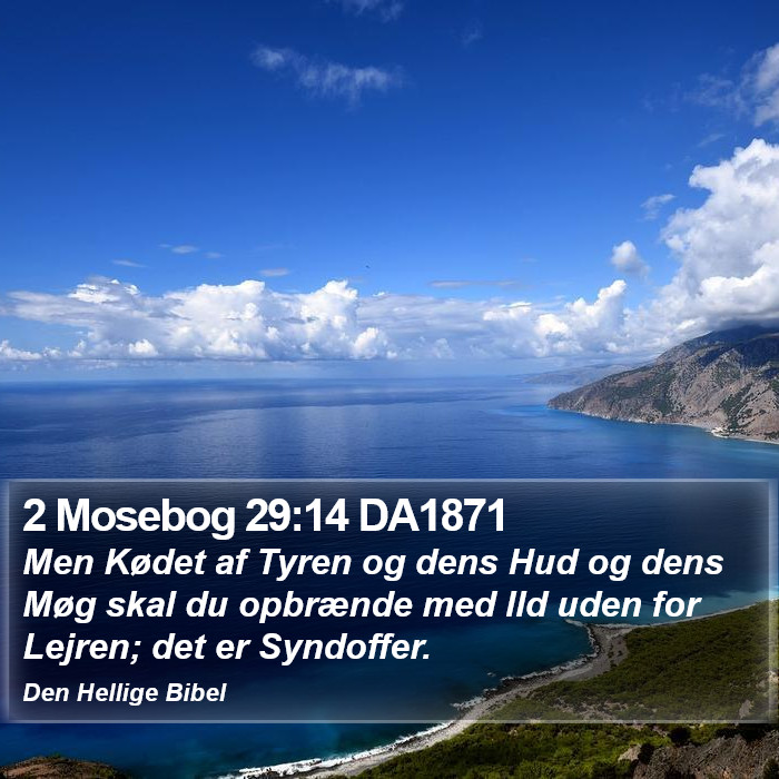 2 Mosebog 29:14 DA1871 Bible Study