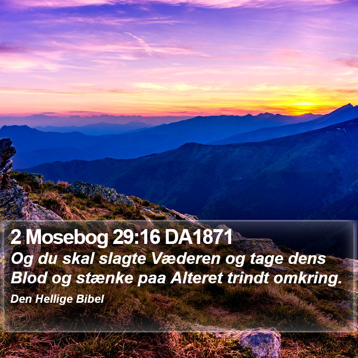 2 Mosebog 29:16 DA1871 Bible Study