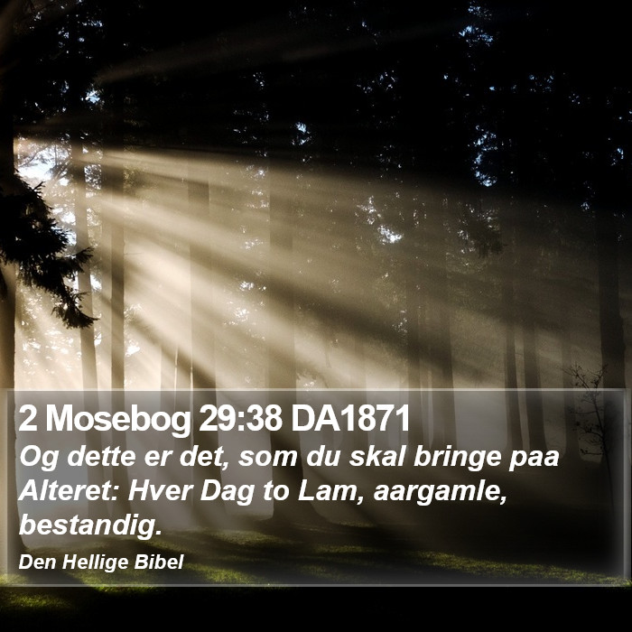 2 Mosebog 29:38 DA1871 Bible Study