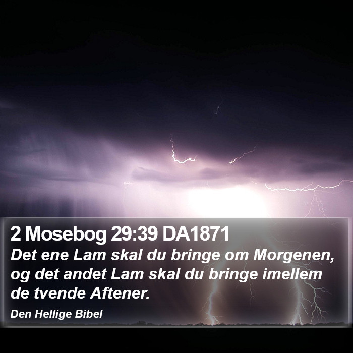 2 Mosebog 29:39 DA1871 Bible Study