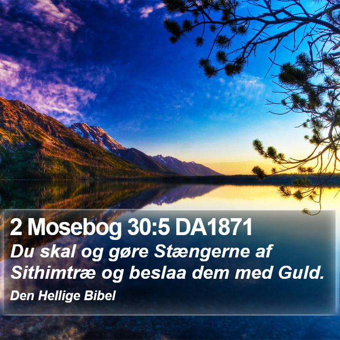 2 Mosebog 30:5 DA1871 Bible Study