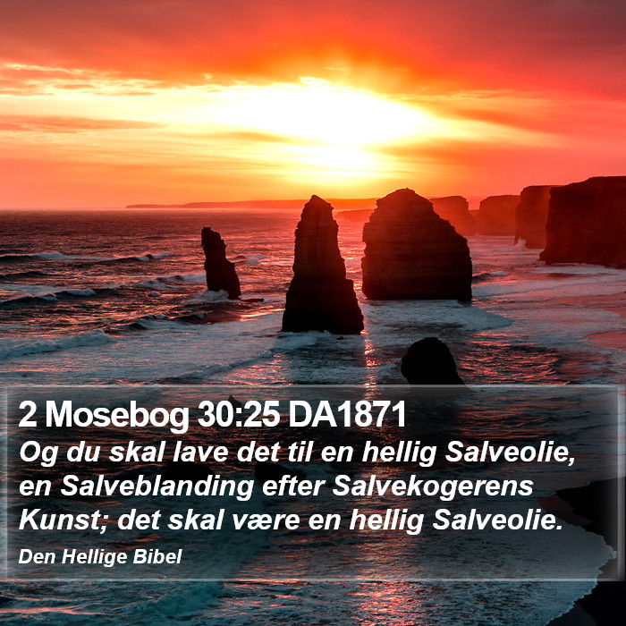 2 Mosebog 30:25 DA1871 Bible Study