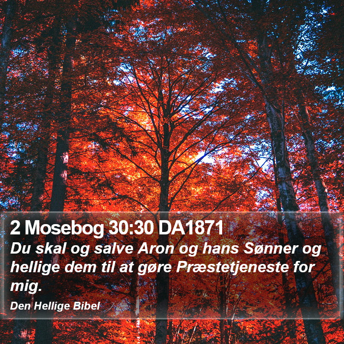 2 Mosebog 30:30 DA1871 Bible Study