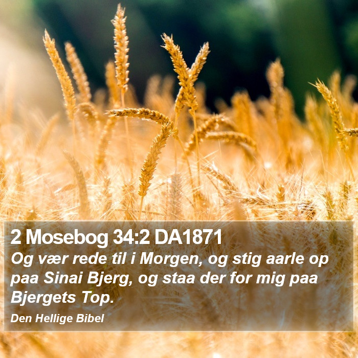 2 Mosebog 34:2 DA1871 Bible Study