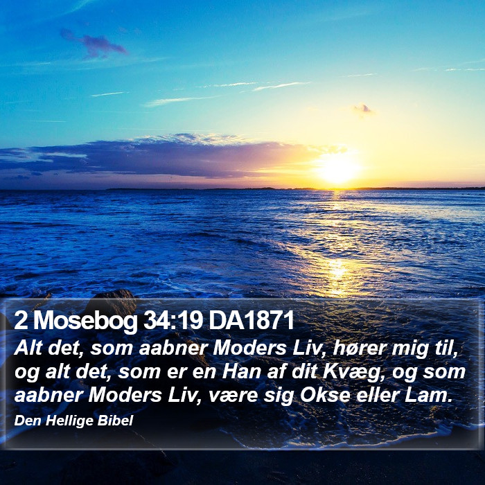 2 Mosebog 34:19 DA1871 Bible Study