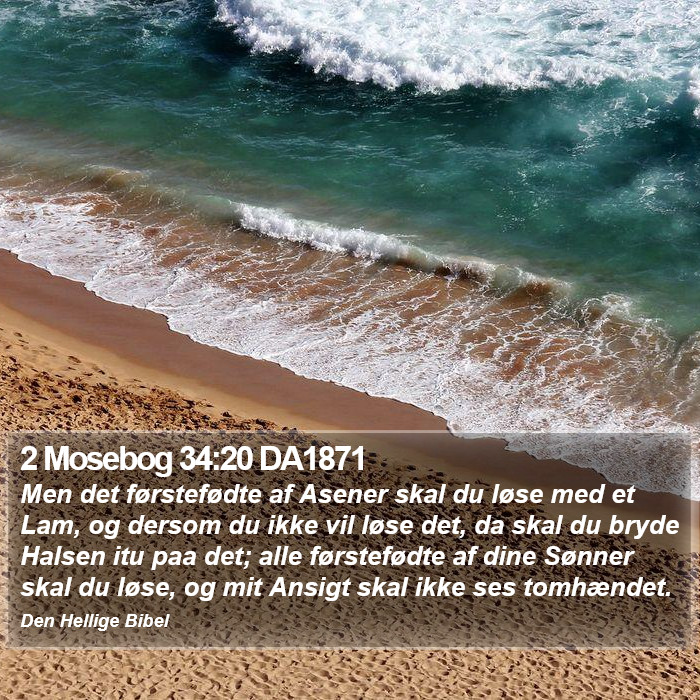 2 Mosebog 34:20 DA1871 Bible Study