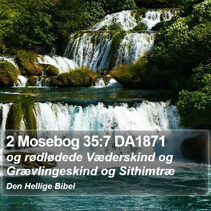 2 Mosebog 35:7 DA1871 Bible Study