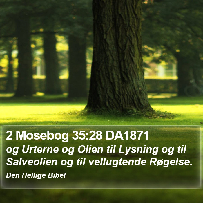 2 Mosebog 35:28 DA1871 Bible Study