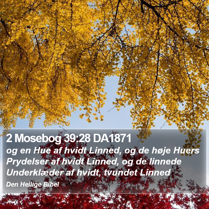 2 Mosebog 39:28 DA1871 Bible Study