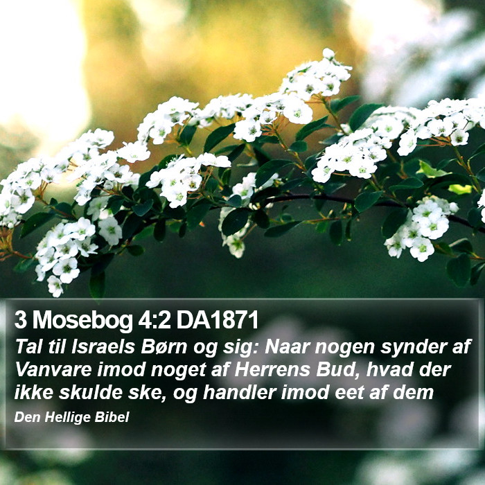 3 Mosebog 4:2 DA1871 Bible Study