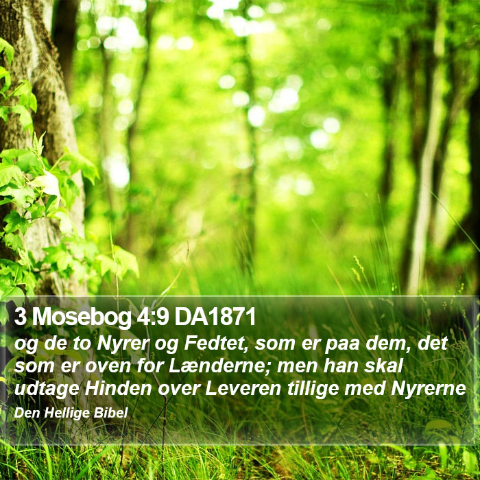 3 Mosebog 4:9 DA1871 Bible Study