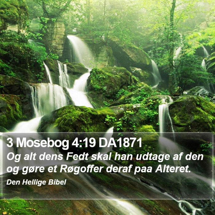 3 Mosebog 4:19 DA1871 Bible Study