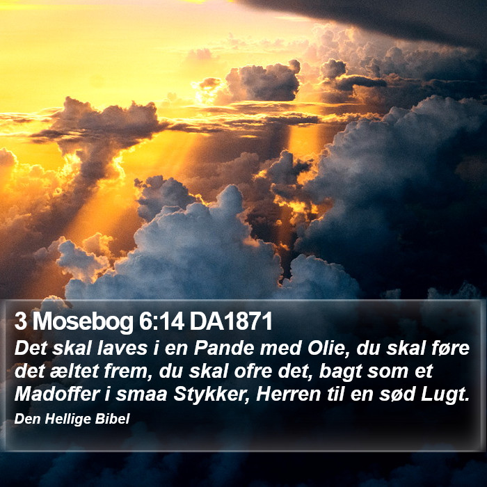 3 Mosebog 6:14 DA1871 Bible Study