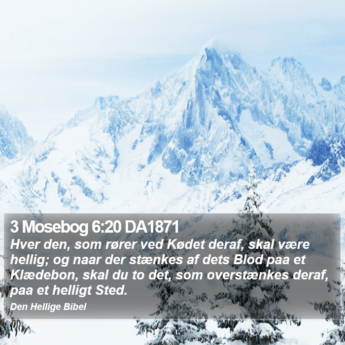 3 Mosebog 6:20 DA1871 Bible Study