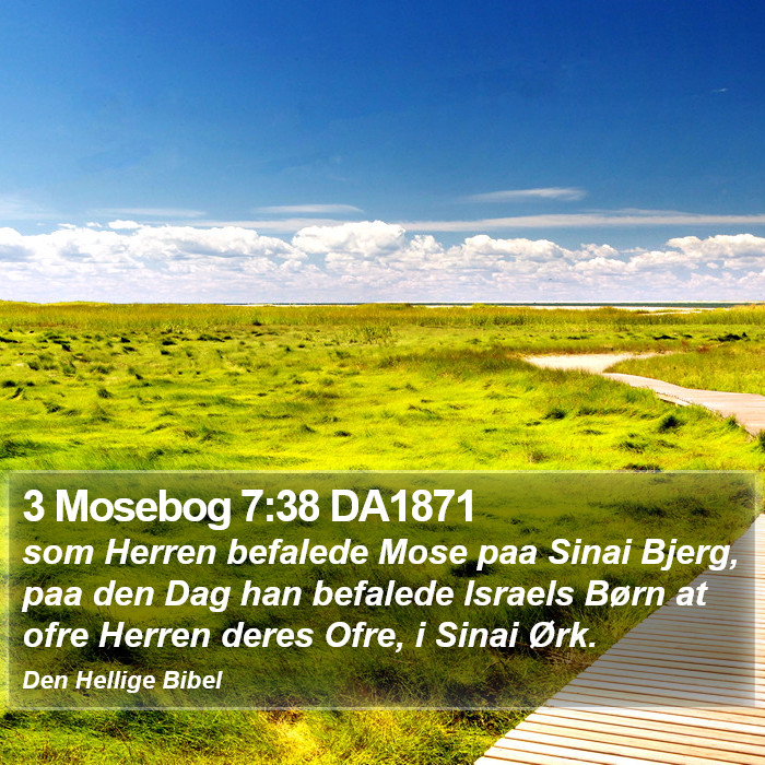 3 Mosebog 7:38 DA1871 Bible Study