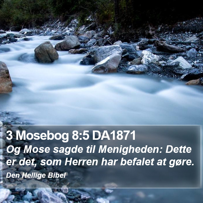 3 Mosebog 8:5 DA1871 Bible Study