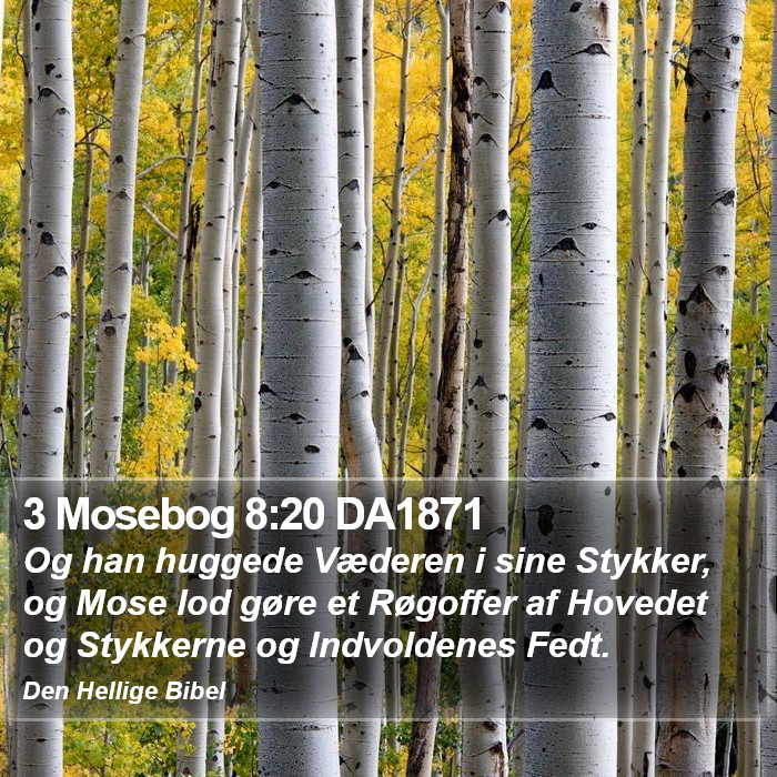 3 Mosebog 8:20 DA1871 Bible Study