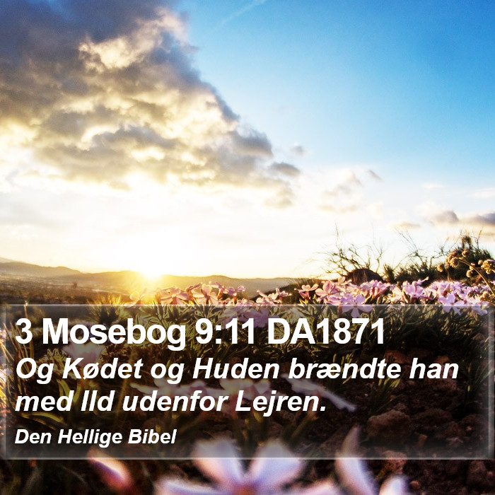 3 Mosebog 9:11 DA1871 Bible Study