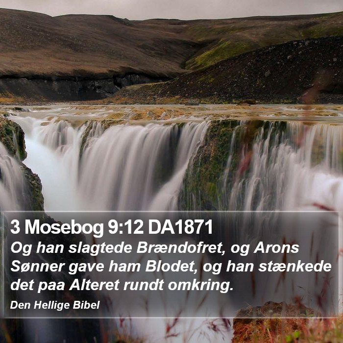 3 Mosebog 9:12 DA1871 Bible Study