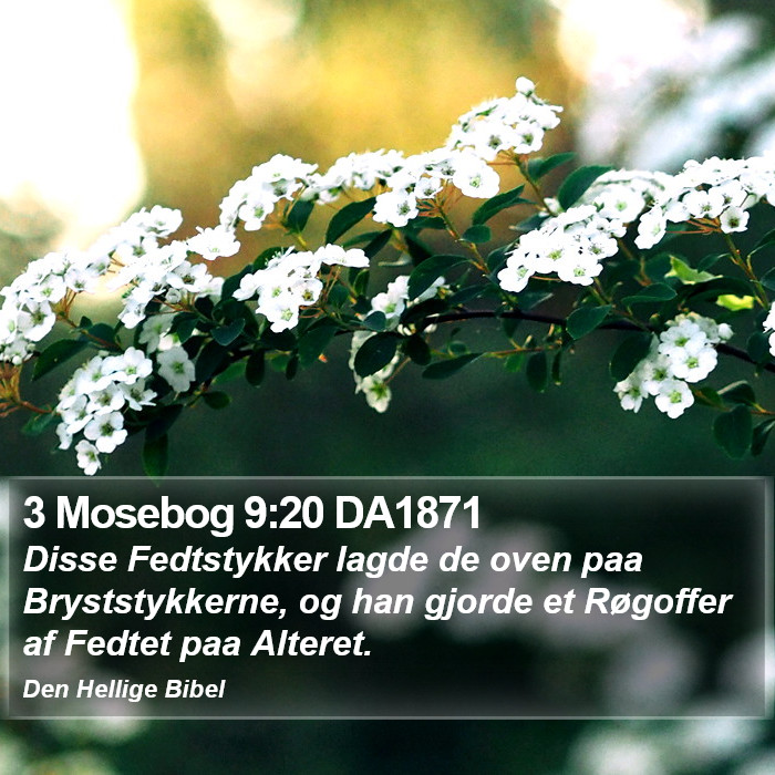 3 Mosebog 9:20 DA1871 Bible Study