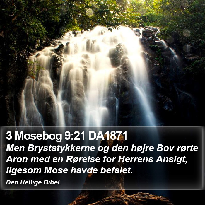 3 Mosebog 9:21 DA1871 Bible Study