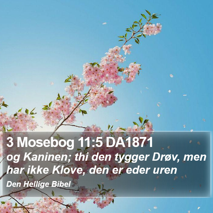 3 Mosebog 11:5 DA1871 Bible Study