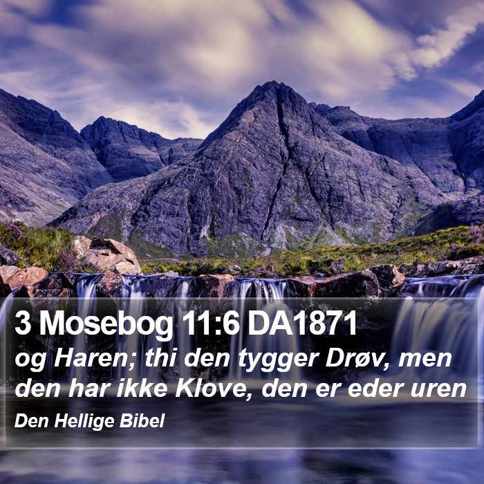 3 Mosebog 11:6 DA1871 Bible Study