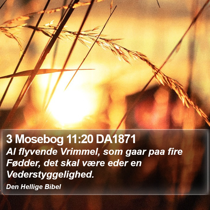 3 Mosebog 11:20 DA1871 Bible Study