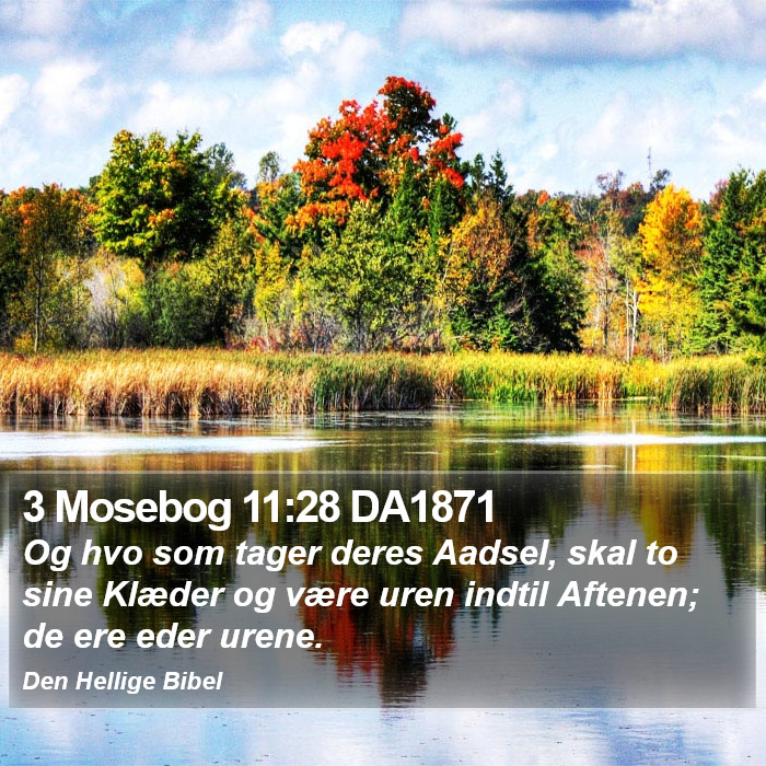 3 Mosebog 11:28 DA1871 Bible Study