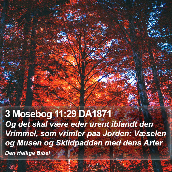 3 Mosebog 11:29 DA1871 Bible Study