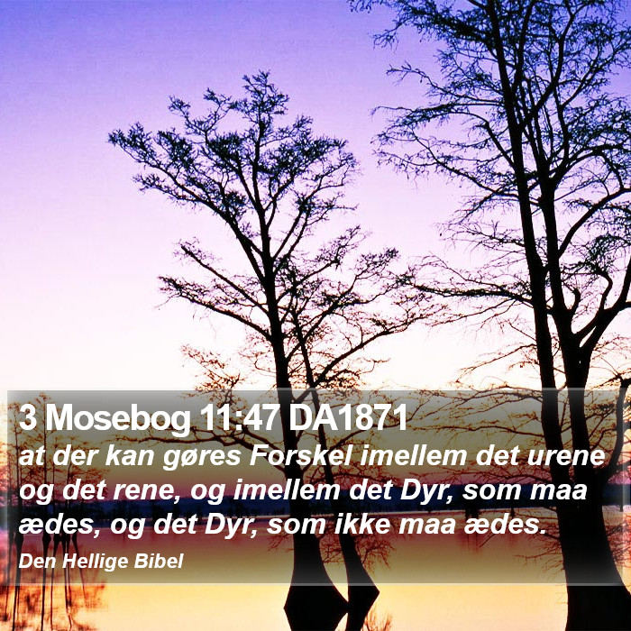 3 Mosebog 11:47 DA1871 Bible Study