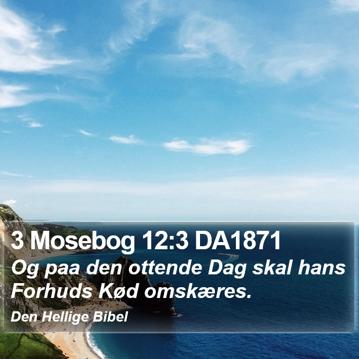 3 Mosebog 12:3 DA1871 Bible Study