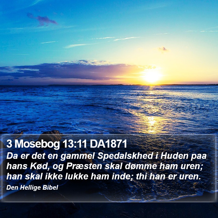 3 Mosebog 13:11 DA1871 Bible Study