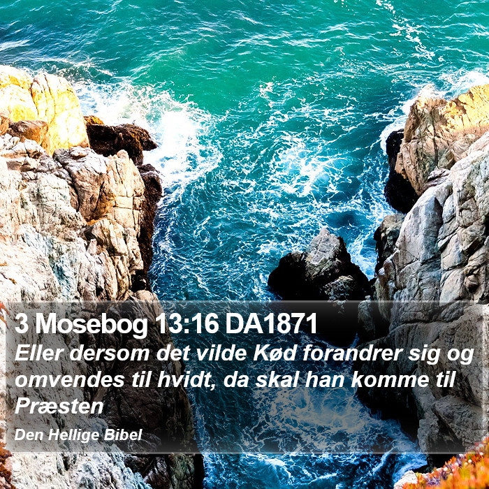 3 Mosebog 13:16 DA1871 Bible Study