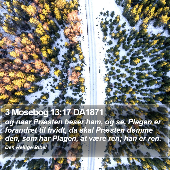 3 Mosebog 13:17 DA1871 Bible Study