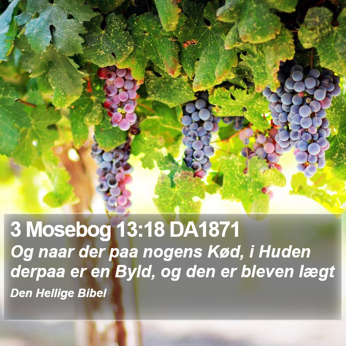 3 Mosebog 13:18 DA1871 Bible Study