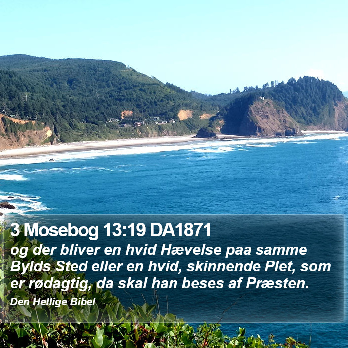 3 Mosebog 13:19 DA1871 Bible Study