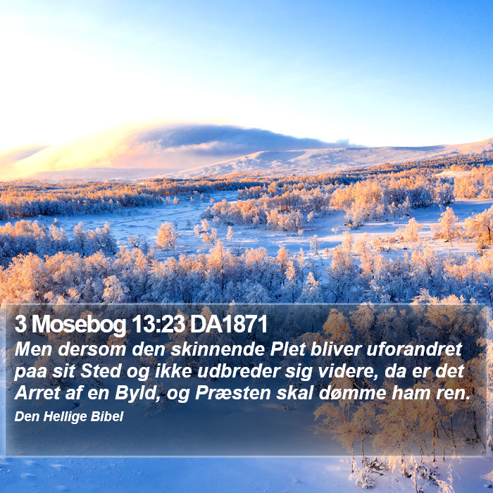 3 Mosebog 13:23 DA1871 Bible Study